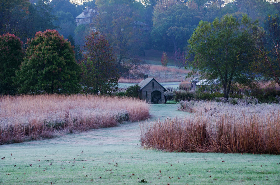 Morris Arboretum - Autumn Morning Photograph by Bill Cannon