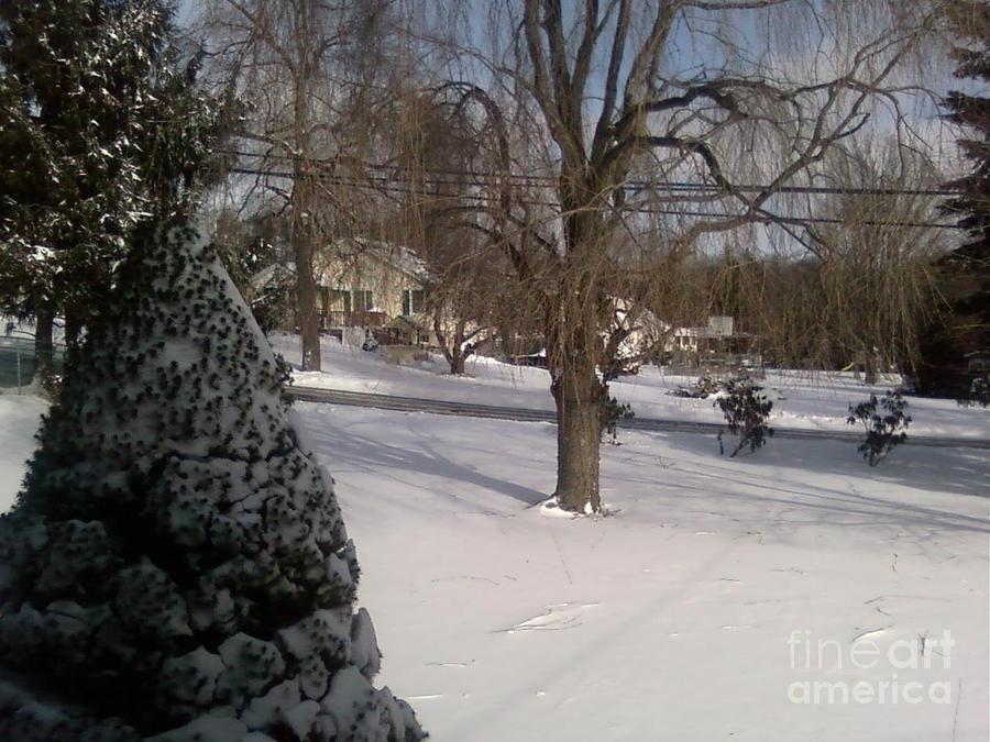 Morris County New Jersey Snowstorm of 12-26-10 Photograph by Carol Wisniewski