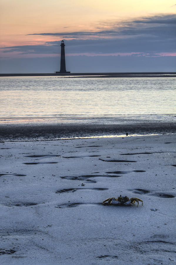 Morris Island Lighthouse and Crab Photograph by Dustin K Ryan