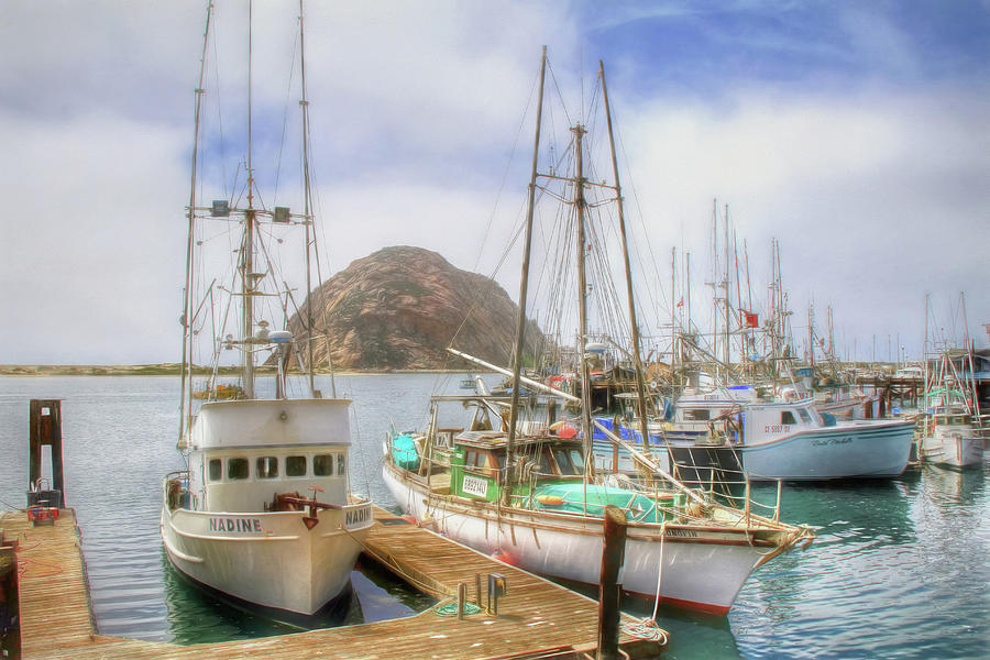 Morro Bay Rock and Marina Photograph by Donna Kennedy