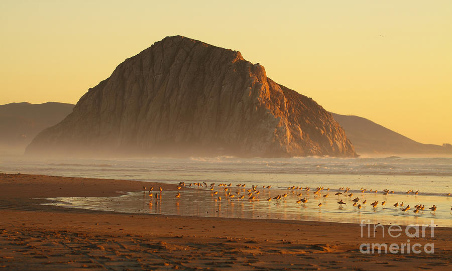 Morro Rock At Sunset Photograph by Max Allen
