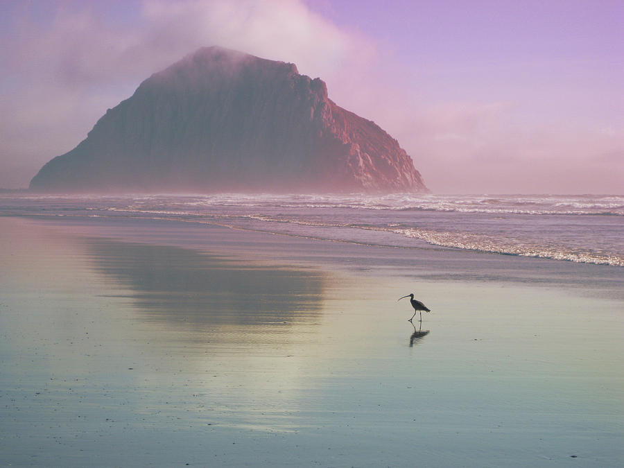 Morro Rock Photograph by Kevin Bergen