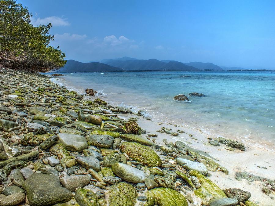 Morrocoy Photograph By David Requena Pixels