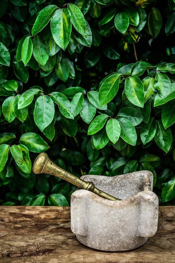 Mortar And Pestle Photograph by Marco Oliveira