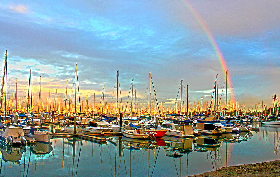 Morton Bay Rainbow Photograph by Susan Vineyard