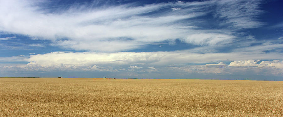 Morton County Kansas Sky Photograph by Jon Friesen