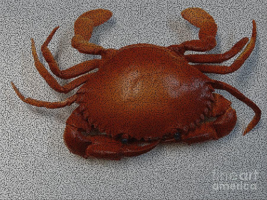 Mosaic Boiled Crab Photograph