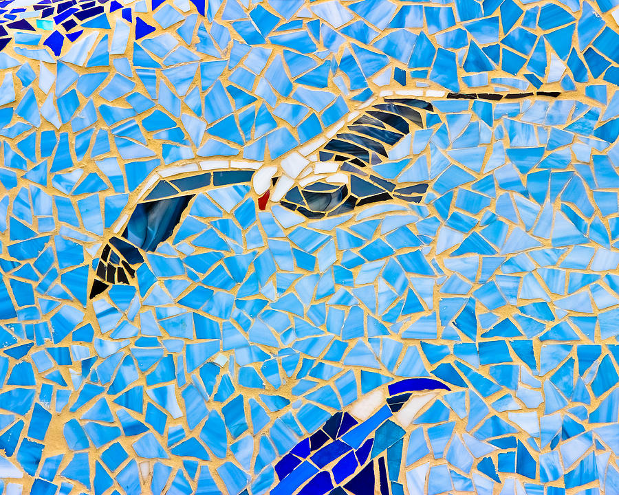 Mosaic Seagull Photograph by Colleen Kammerer