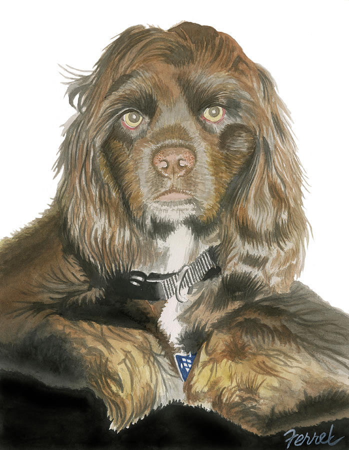 Mose - Cocker Spaniel Painting by Ferrel Cordle