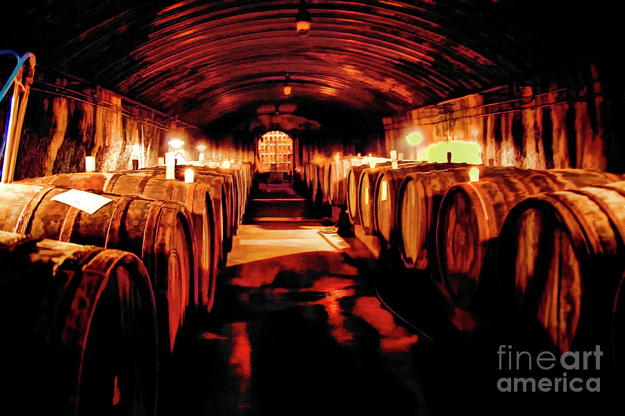 Mosel Wine Celler Photograph by Rick Bragan