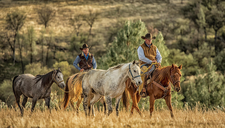 Moseying Along Photograph by Freddie Bommer II - Fine Art America