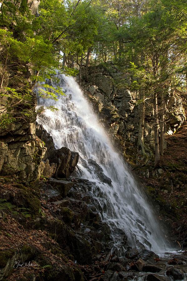 Tree Photograph - Mosher Hill Falls by Jan Mulherin