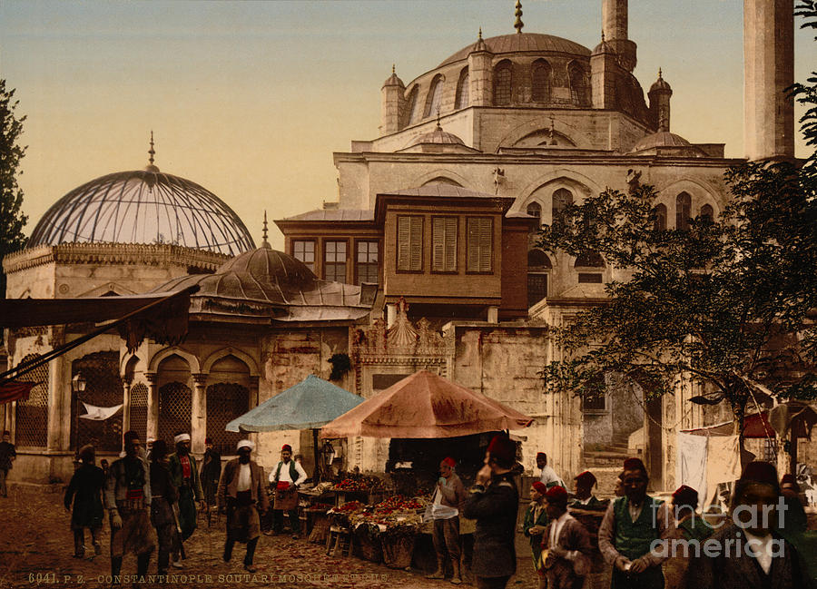 Mosque and street Constantinople Painting by Celestial Images