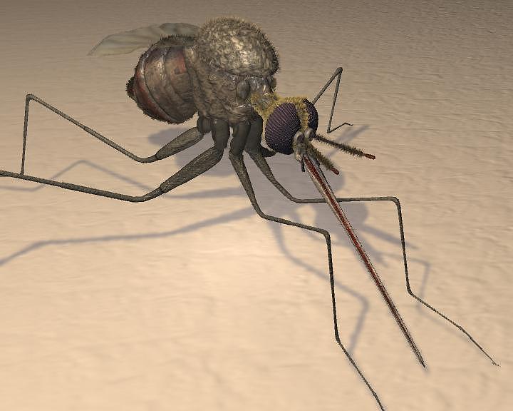 Mosquito Painting by Giora Eshkol - Pixels