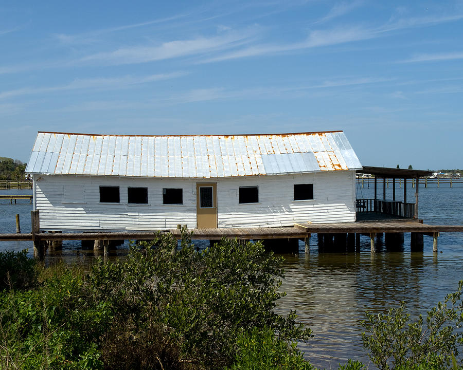 Mosquito Lagoon Florida Photograph By Allan Hughes - Pixels