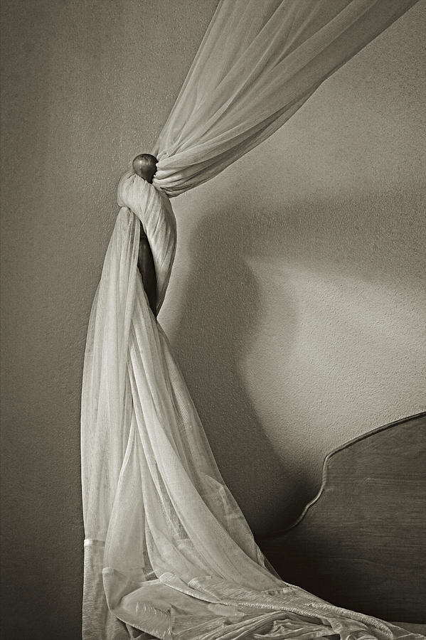 Mosquito Net- St Lucia Photograph by Chester Williams