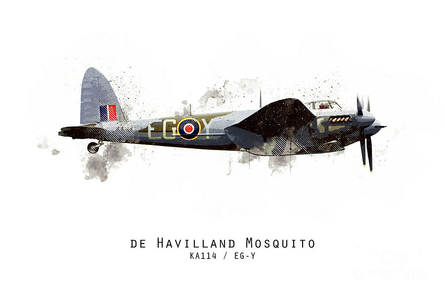 Mosquito Sketch - KA114_EGY Digital Art by Airpower Art