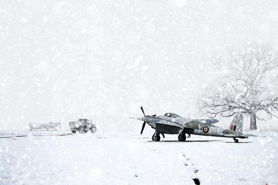 Mosquito Winter Digital Art by Airpower Art