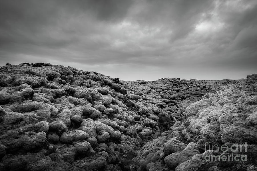 Moss Covered Lava Field BW Photograph by Michael Ver Sprill