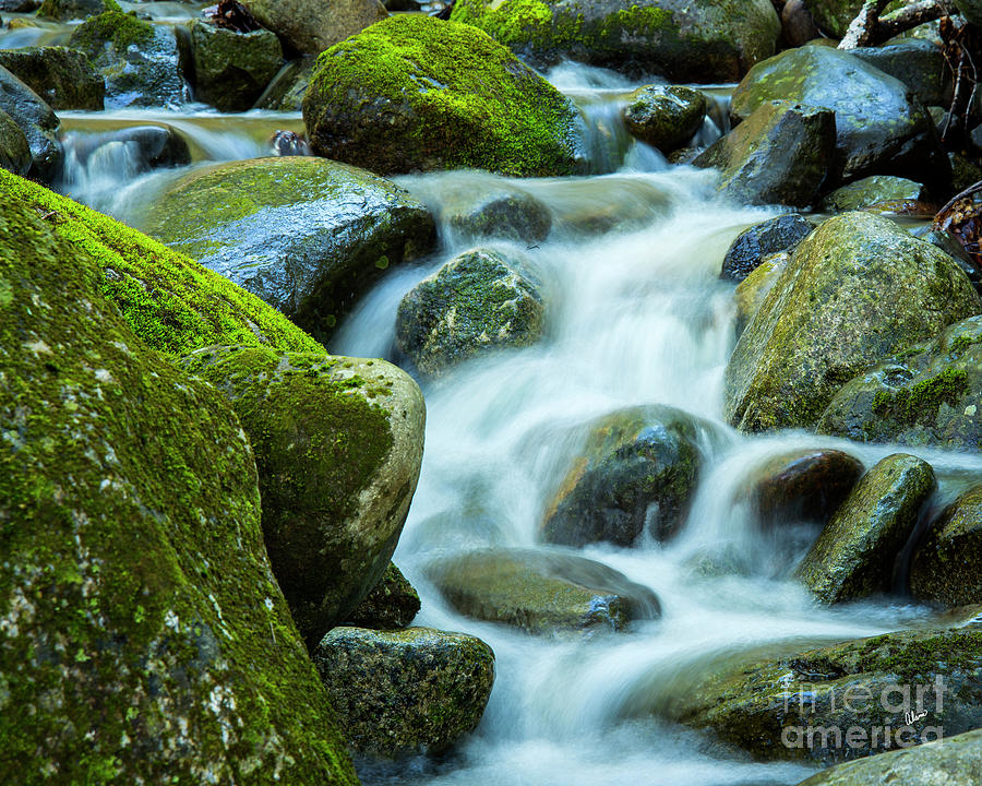 Moss Covered Rocks Photograph by Alana Ranney
