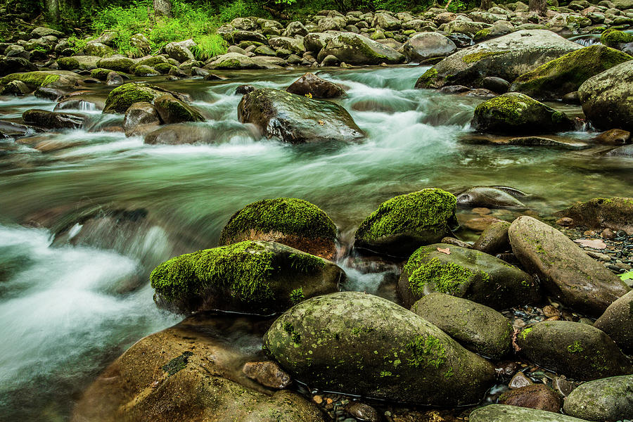 Mountain Photograph - Moss Covered Rocks and Flowing Stream by Carol Mellema
