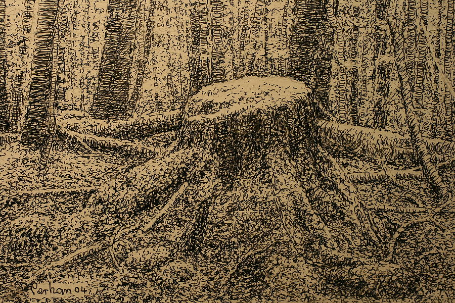 Tree Drawing - Moss On The Stump by Terry Perham