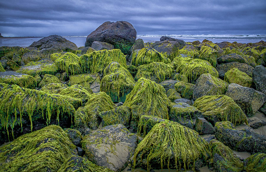Moss Rocks Photograph by Bill Posner