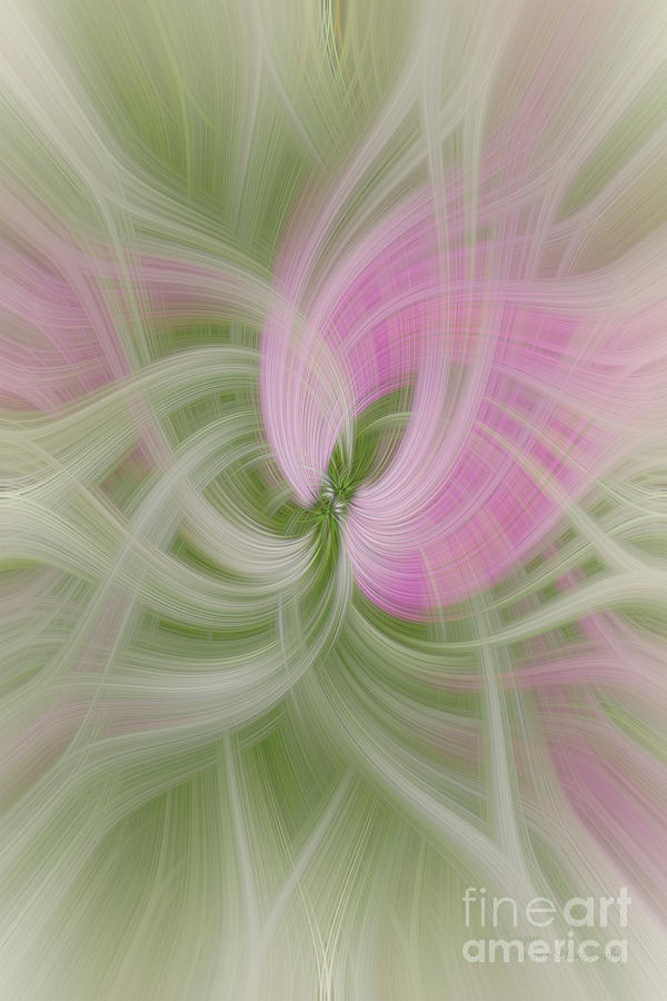 Moss Rose Twirl Digital Art by Elaine Teague
