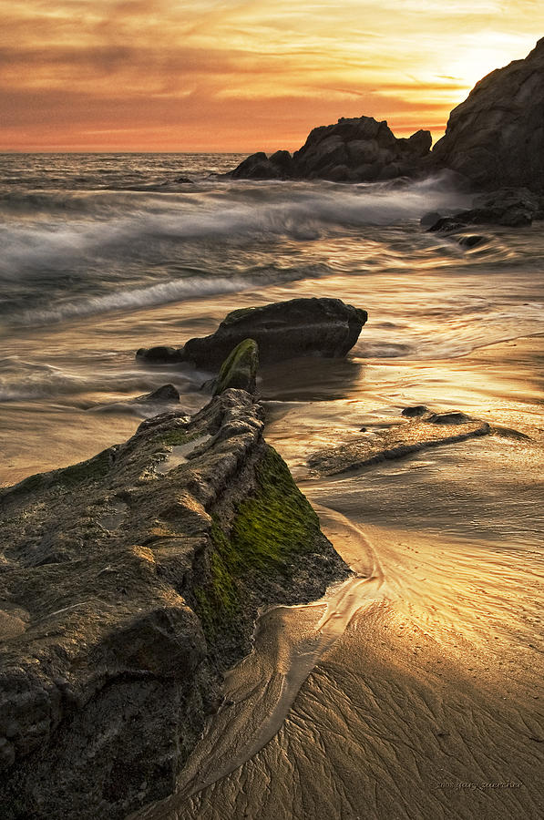 Moss Street Moss Vertical Photograph by Gary Zuercher - Fine Art America