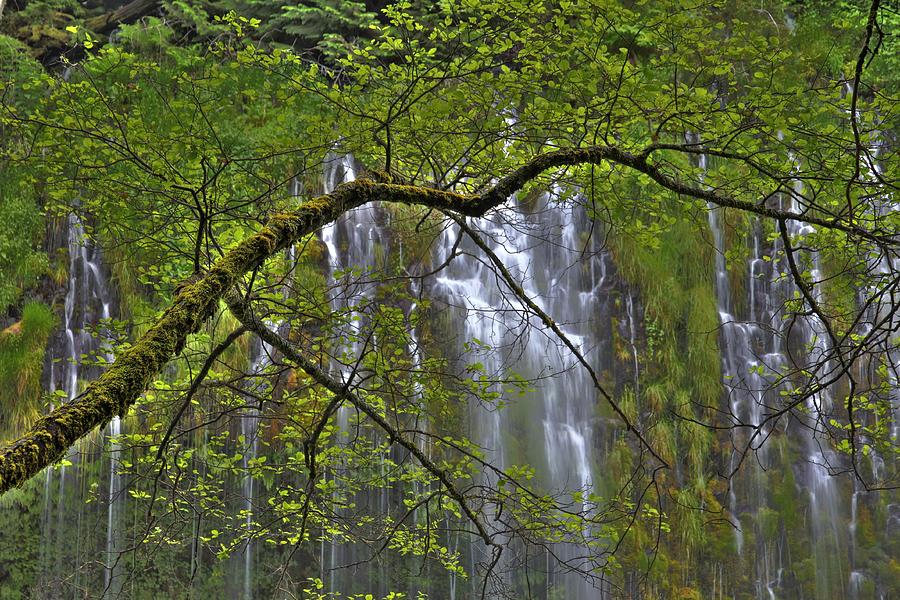 Mossbrae Falls Photograph by Ryan Workman Photography