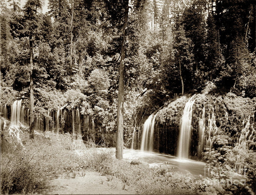 Mossbrae Falls Photograph - Mossbrae Falls Shasta Springs Circa 1908 by Monterey County Historical Society