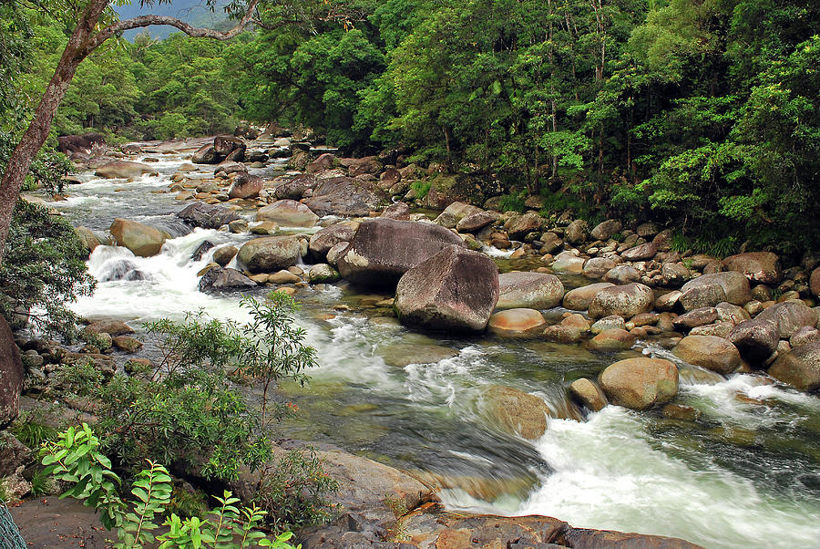 Mossman Gorge Photograph By Terry Everson - Pixels