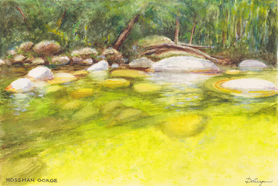 Mossman River in the boulder-strewn Mossman Gorge in Far North Queensland Painting by Dai Wynn