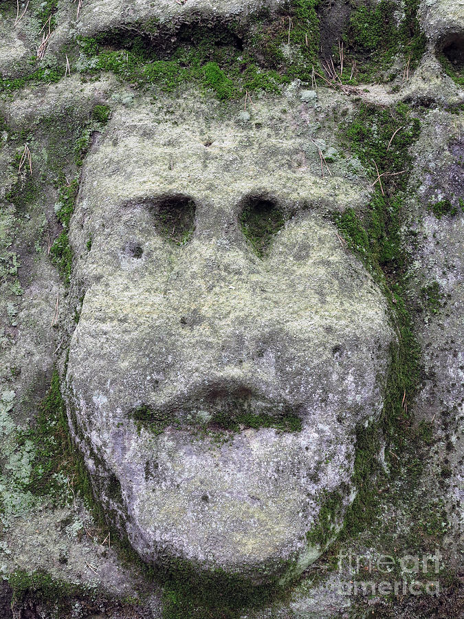 Mossy Bizarre Stone Heads - Rock Sculptures Photograph by Michal Boubin