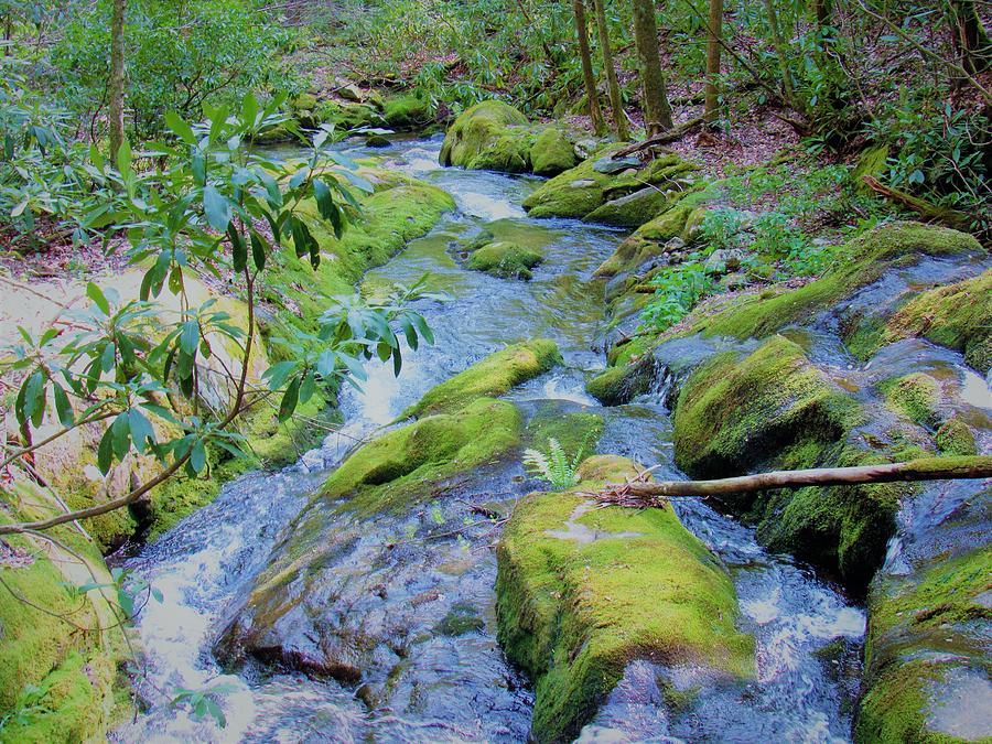 Mossy Blue Brook Photograph by Joshua Bales