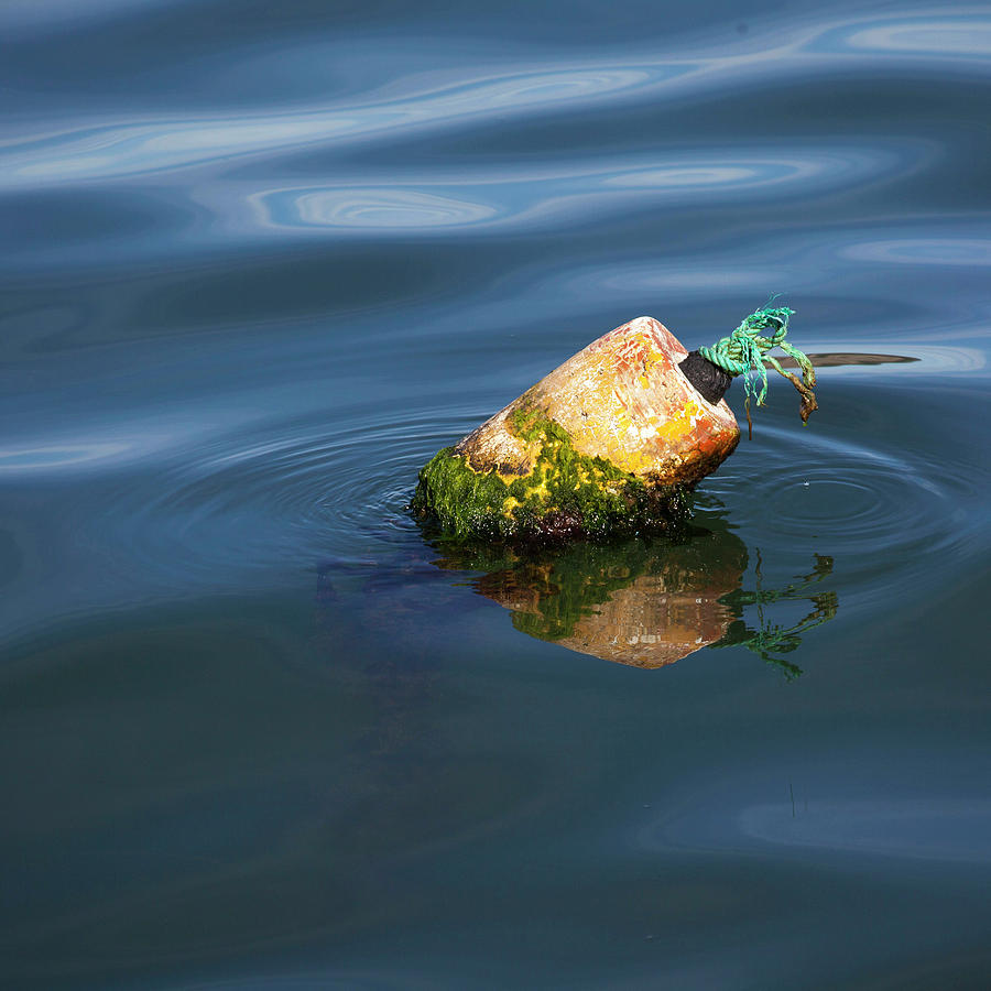 Mossy Buoy Photograph by Art Block Collections