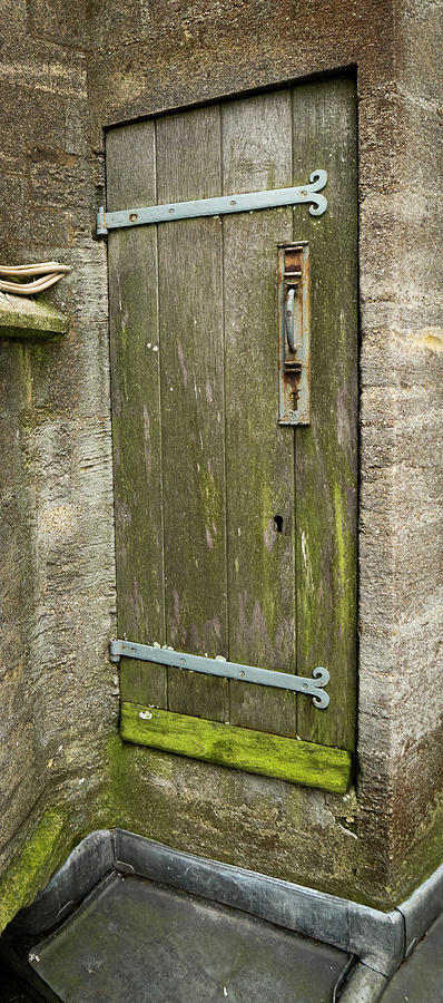 Mossy Door Photograph by Jean Noren