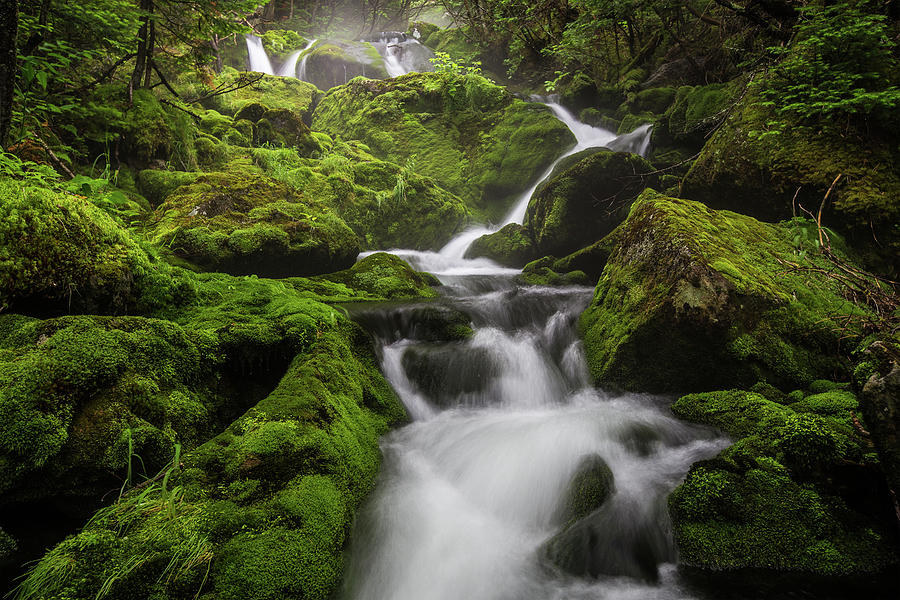 Mossy Fall #3 Photograph by White Mountain Images