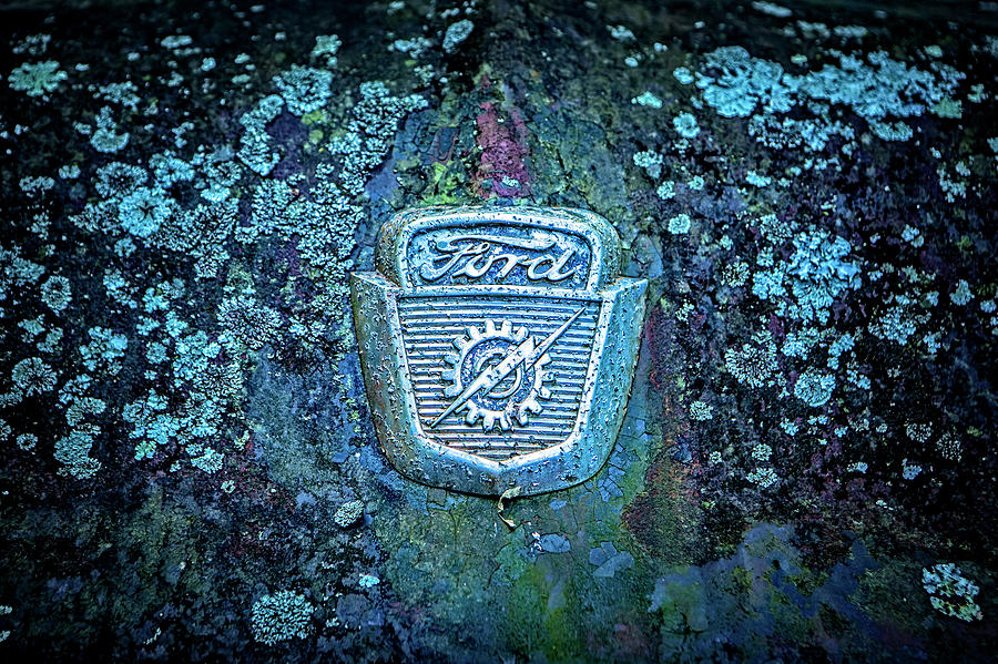 Mossy Ford  Photograph by Rod Kaye