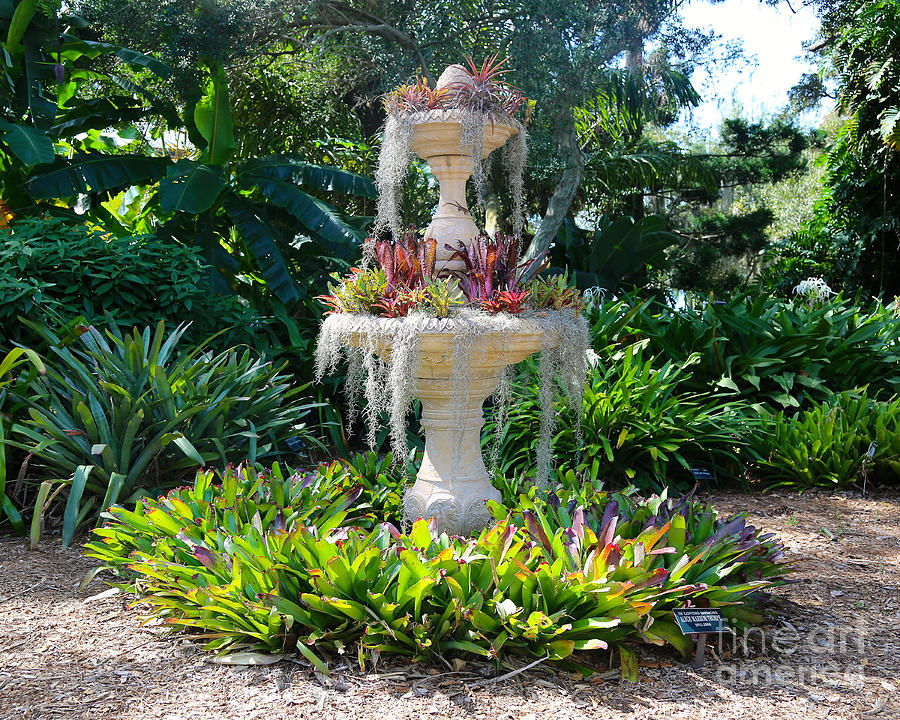 Mossy Fountain with Bromeliads Photograph by Carol Groenen