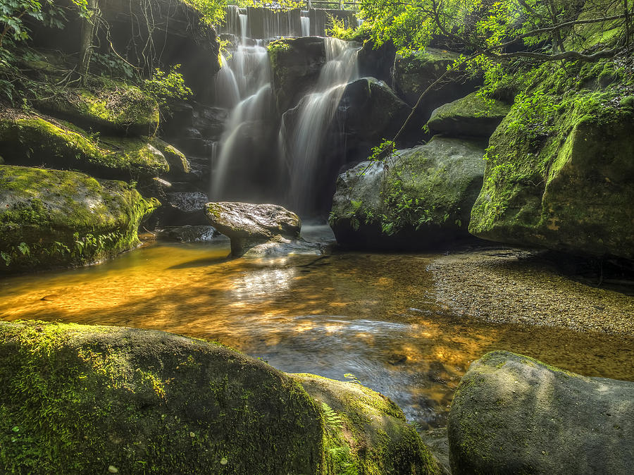 Mossy Glen Photograph by Ajit Pillai - Fine Art America