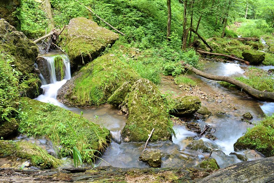 Mossy Green Brook Photograph by Bonfire Photography