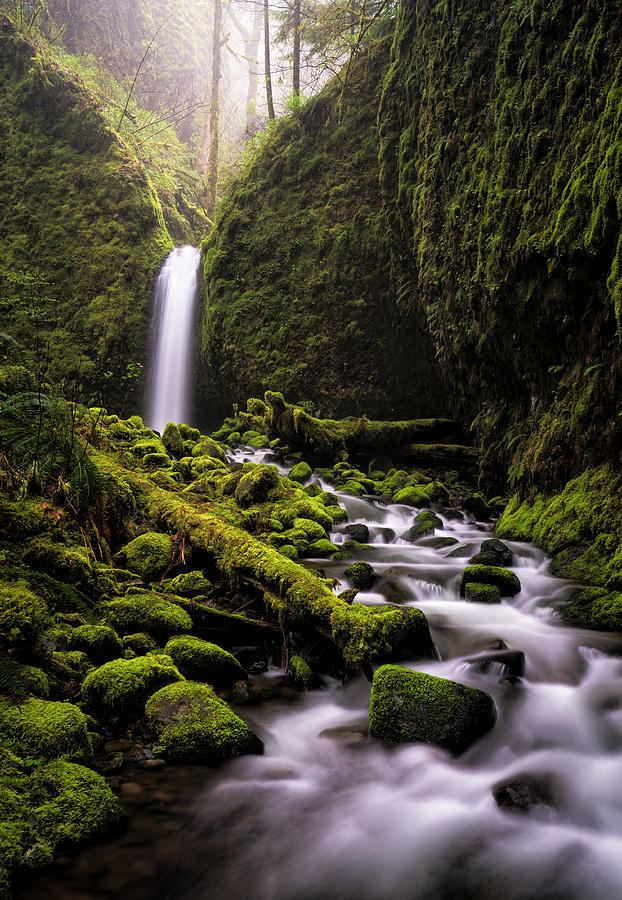 Mossy Grotto Photograph by Brian Bonham