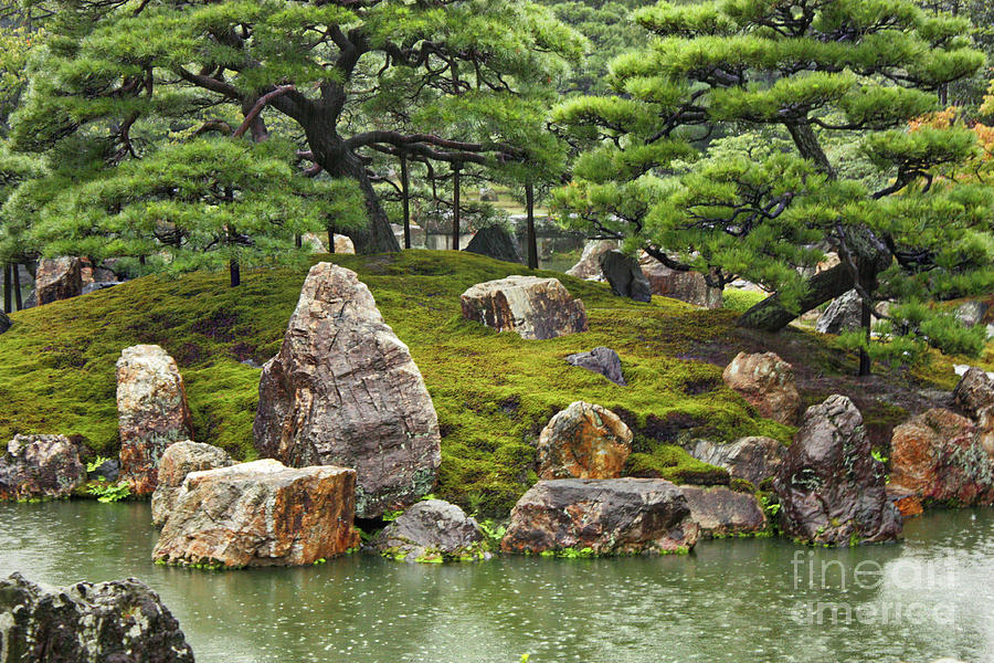 Mossy Japanese Garden Photograph by Carol Groenen