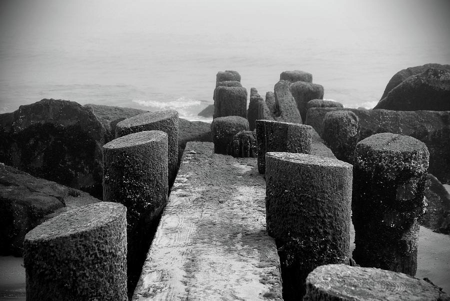 Mossy Jetty in Black and White - Jersey Shore Photograph by Angie Tirado
