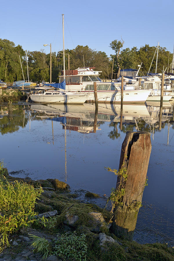 Boat Photograph - Mossy Pilon and Docked Boats Belle Haven Marina in Alexandria Virginia by Brendan Reals