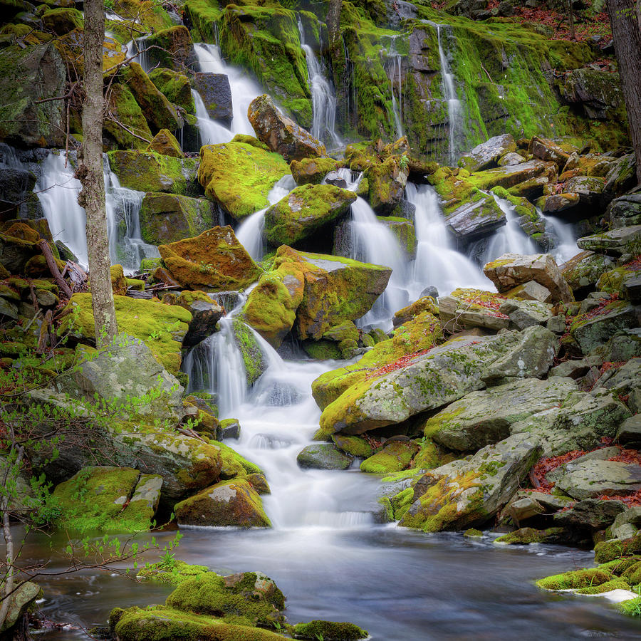 Mossy rock falls square Photograph by Bill Wakeley