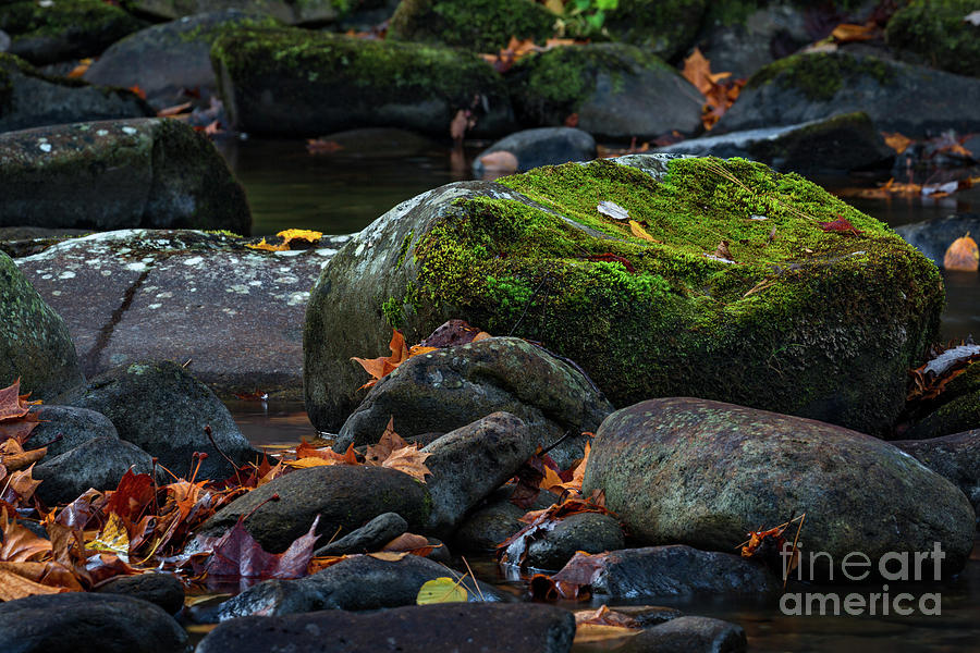 Mossy Rocks Photograph by Doug Sturgess