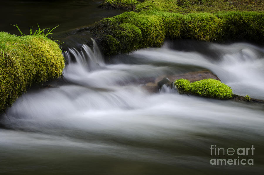 Waterfall Photograph - Mossy Rocks  Oregon 1 by Bob Christopher