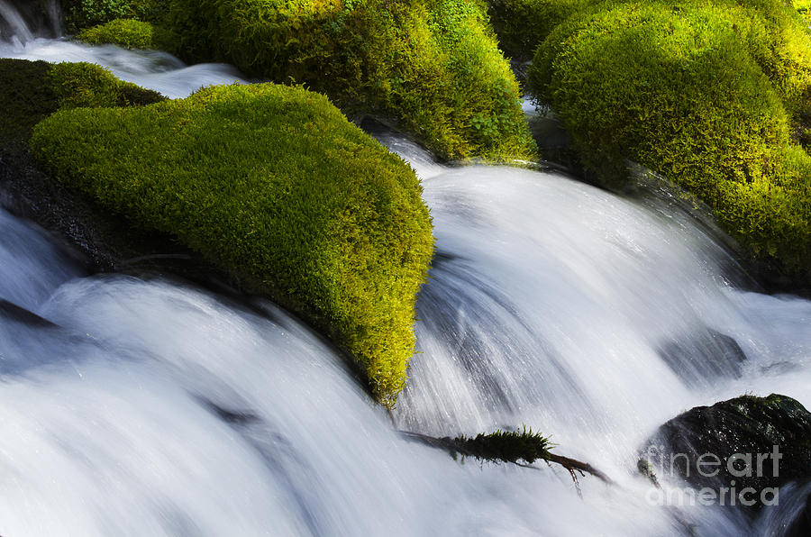 Waterfall Photograph - Mossy Rocks Oregon 2 by Bob Christopher